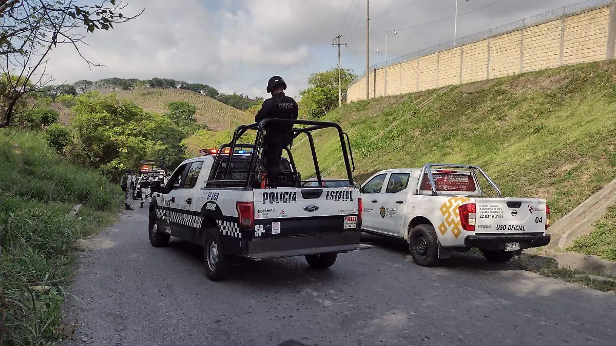 Colectivo reinicia búsqueda de desaparecidos en terreno de Pemex Papantla